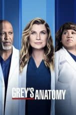 Nonton Greys Anatomy Season 13 (2021) Subtitle Indonesia